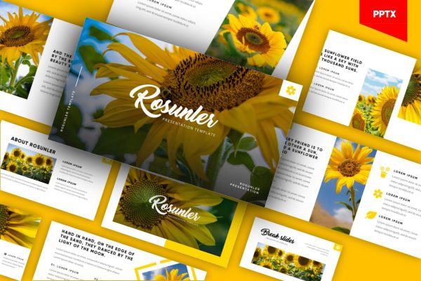 Rosunler - Minimalism Tropical Powerpoint Template